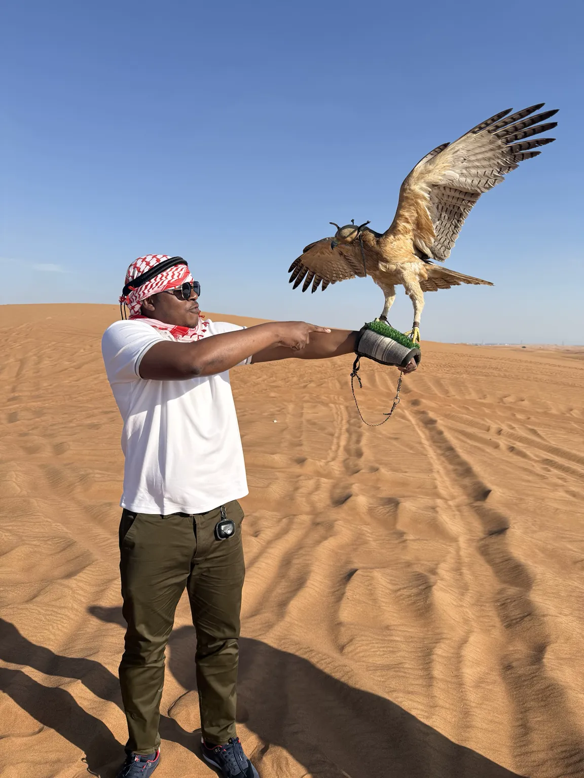 Membre de KadyJet tenant un faucon pendant une excursion dans le désert de Dubaï