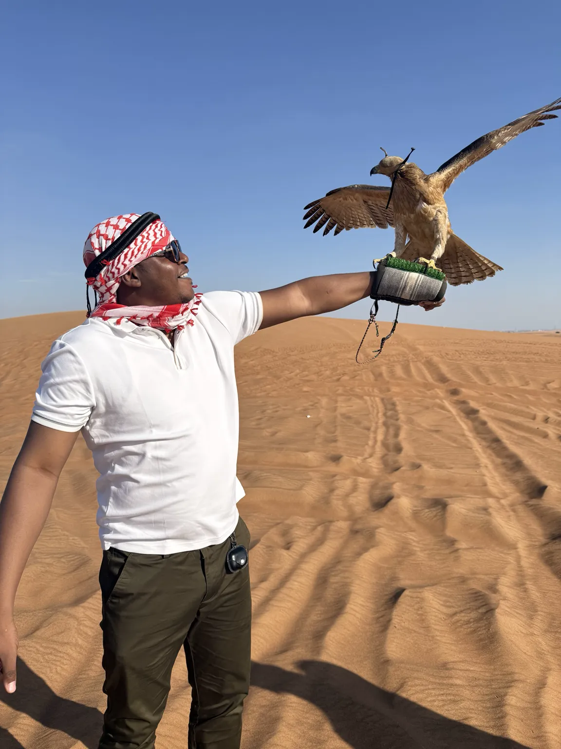 Souvenir d’une activité de fauconnerie à Dubaï